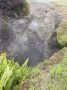 10VolcanoNP - 01 * Steam vents are the first stop on Crater Rim Drive at the top of Volcanoes National Park